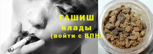 гашик Козловка