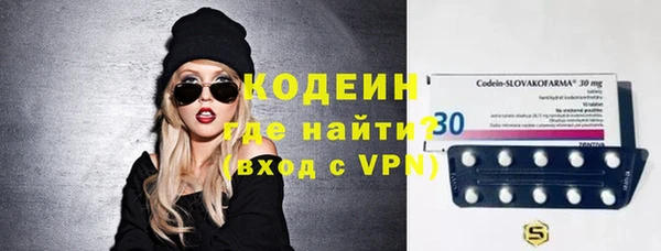 гашик Козловка