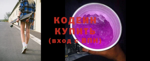 гашик Козловка