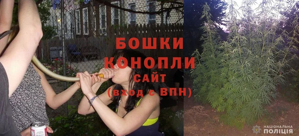 гашик Козловка