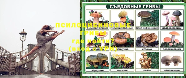мет Козельск