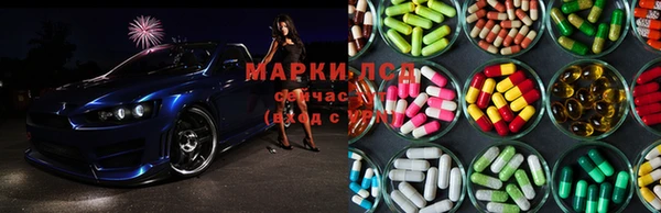 гашик Козловка