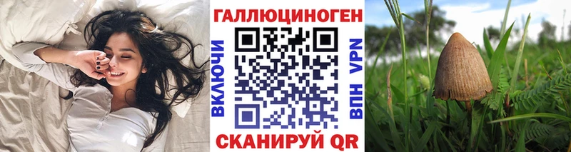 Купить Голицыно Псилоцибиновые грибы Psilocybine cubensis